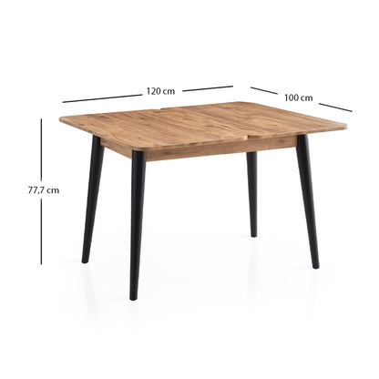 Τραπέζι Dolunay Megapap επεκτεινόμενο χρώμα atlantic pine - μαύρο 100x60(120x100)x79,5εκ. - Hippiehome.gr