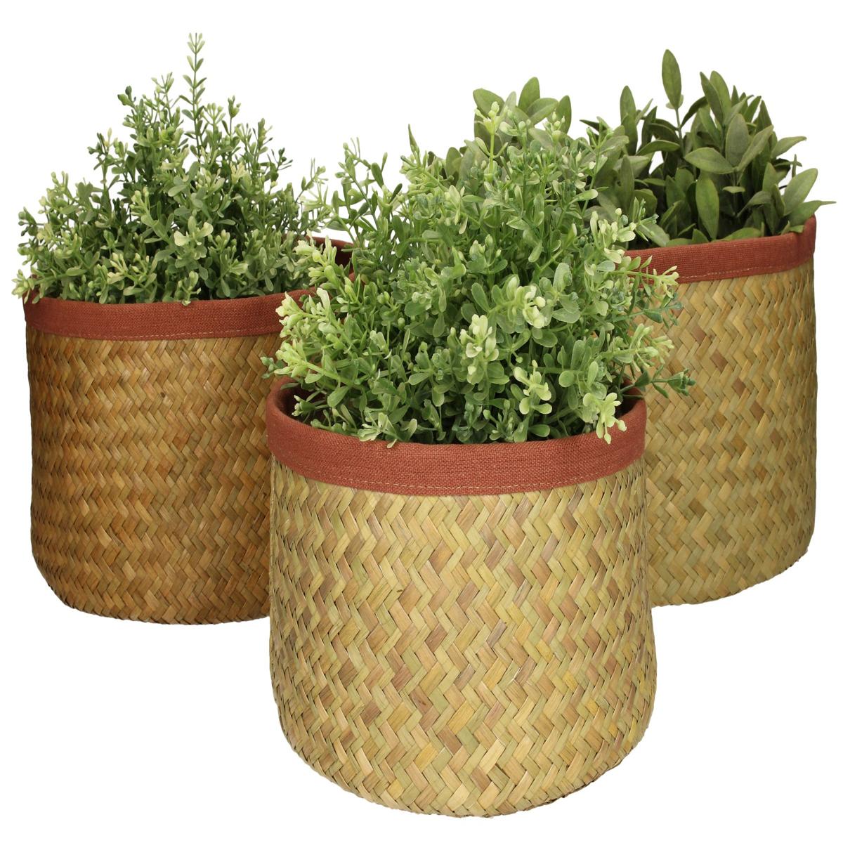 Κασπώ ArteLibre Καφέ Seagrass 27x27x17cm Σετ 3Τμχ - Hippiehome.gr