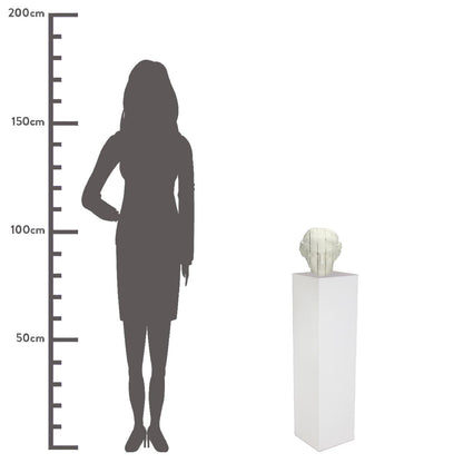 Διακοσμητικό ArteLibre Αφροδίτη Λευκό Polyresin 19.2x17.5x21cm - Hippiehome.gr