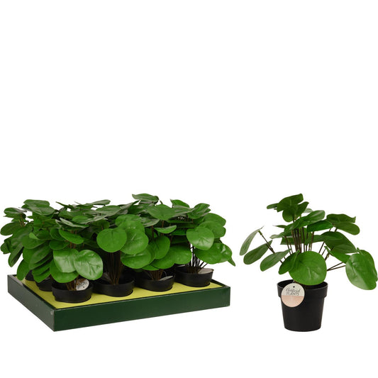 Φυτό Τεχνητό Pilea 25cm Μαύρο Σε Μαύρο Γλαστράκι 98x85mm - Hippie Home 