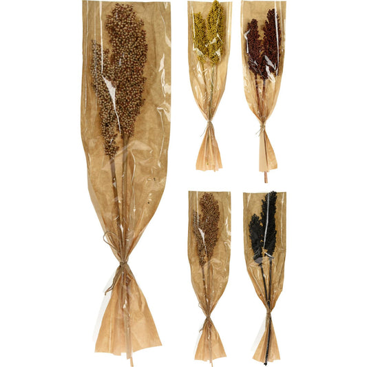Φύλλα Αποξηραμένα Indian Corn Δεμένα Σε Χάρτινη Θήκη Σε 4 Ποικιλίες - Hippie Home 